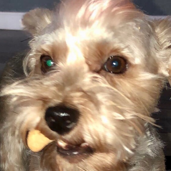 Meet your Posher, Tori - Picture 1 of 1